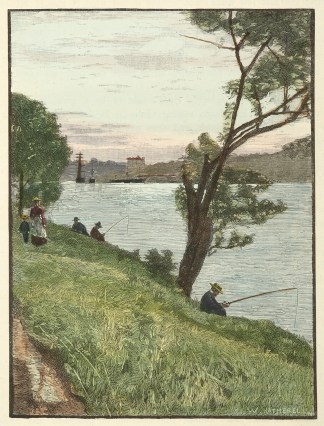 View from the Botanical Gardens. Queensland