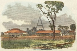 Northampton Downs Station, Queensland. Queensland