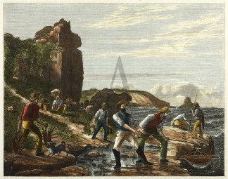 The Crawfishers. Fish & Marine Life