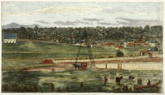 View of Musclebrook, New South Wales. Regional