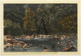 Sprites Dell, Clarence River District, New South Wales. NSW - Country Sprites Dell, Clarence River District, New South Wales.