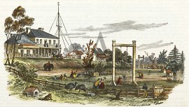 [Sir Joseph Banks Hotel] Zoological Gardens, Botany.