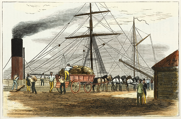 Shipping Sugar, Mackay Wharf. - Antique Print from 1880