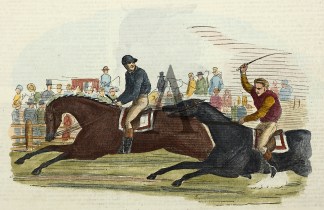 Race between Sportsman and Cooramin. Sydney