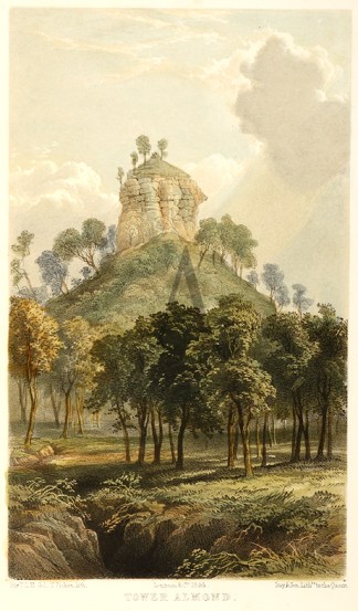 Tower Almond Queensland