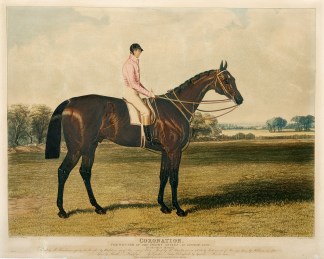 Coronation. The Winner of the Derby Stak… Equestrian