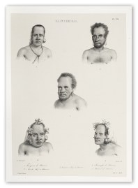 Vanikoro. 1. Tangaroa de Manévé 2. Mériko chef à Manévé 3. Oumou chef à Nana 4. Maingho de Manévé 5. Naturel de Manévé