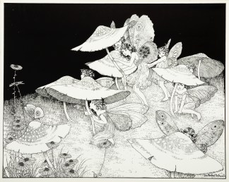 “The toadstools, blue and fawn and… Australian