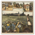 Wine - Wine, champagne & related