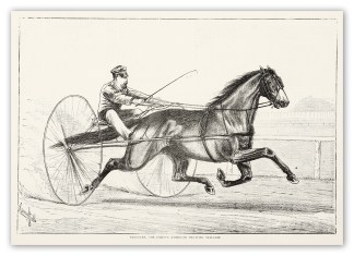 Smuggler, the Famous American Trotting S… Wrestling