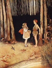 The Boy in the Forest