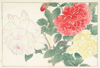Rose JAPANESE WOODBLOCKS