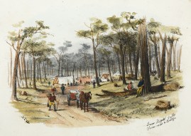 Iron Bark Gully from road to Bendigo