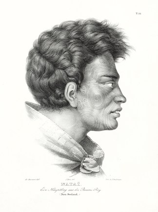 Natai. Ein Hauptling aus der Breams Bay. Maori