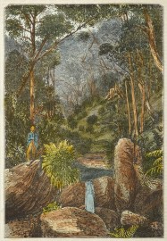 Scene on Joadja Creek. NSW - Country Scene on Joadja Creek.