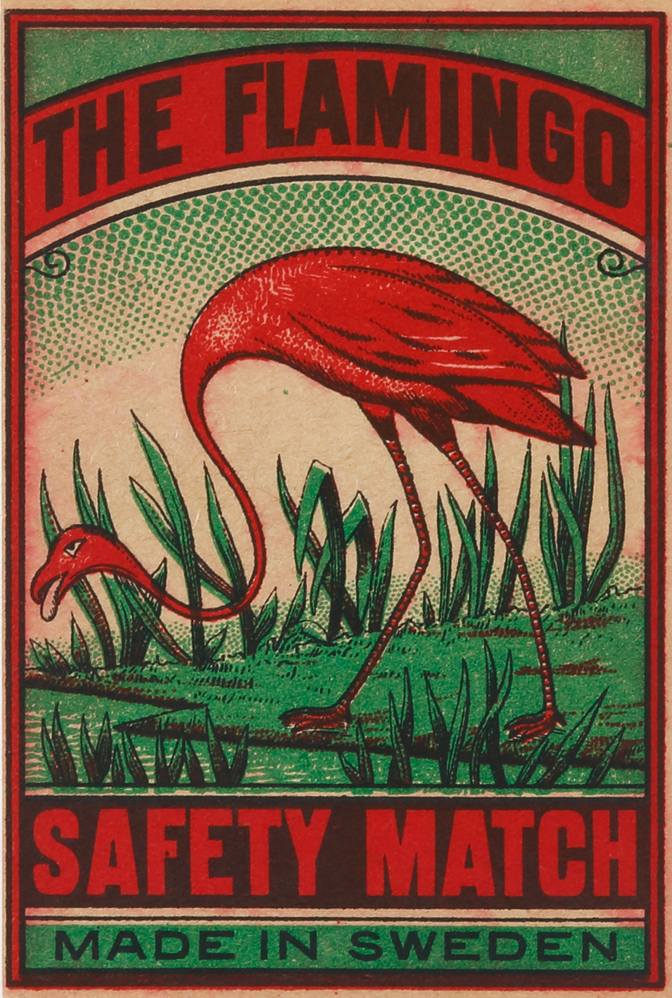 The Flamingo - Antique Print from 1920