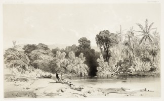 Entree de la riviere de Paio (Iles Vanik… PACIFIC