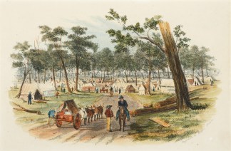 Approach to Eagle Hawk Gully from road t… Regional