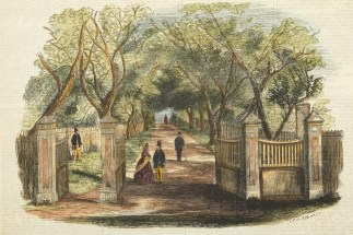 Botanic Gardens, Sydney.-The Southern En… Sydney