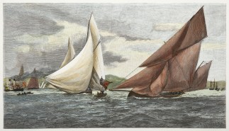 Yachting in Sydney Harbour. Sydney