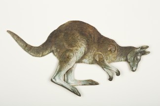 The Kangaroo (Macropus) Australian - General