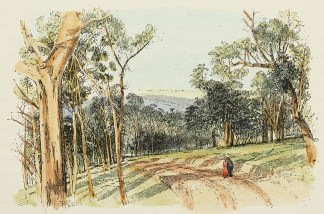 Road to the Fish River Caves. Regional