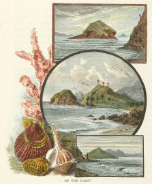 On the Coast. Queensland