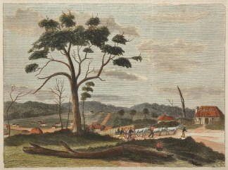 Brickfield Hill in 1797. Sydney