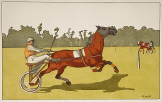 [Trotters] Equestrian