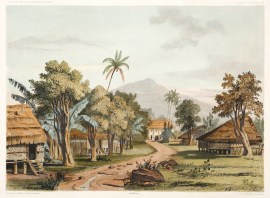 Grande Rue D’Umata. ( Ile Gouaham) [Guam] DUMONT D'URVILLE