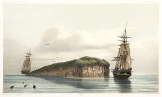 Ilot Basattique dans la Baie Sarah’… NEW ZEALAND