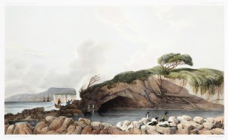 Grotte sur L’Ile Enderby. NEW ZEALAND