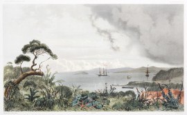 Baie de Sarah's Bosom (Iles Auckland)