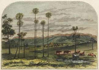 Marshall Mount,Illawarra. [Wollongong] Regional