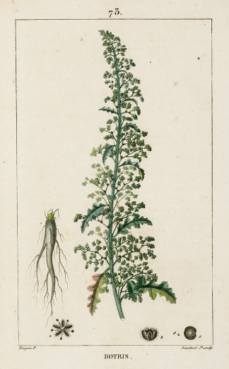 Botris General / Global