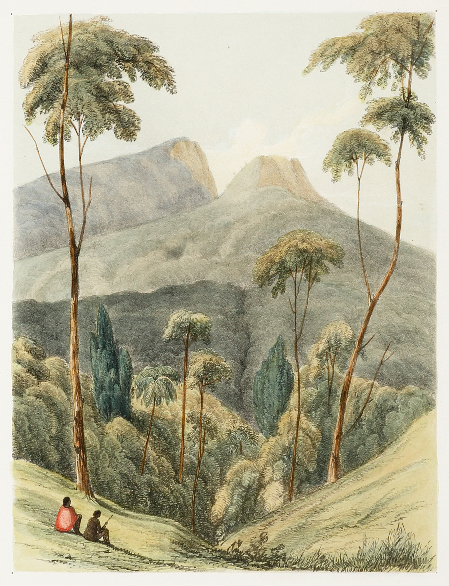 Mountain Pass, From Jamberroo, Illawarra & Bong Bong sic [Jamberoo] - Antique View from 1848