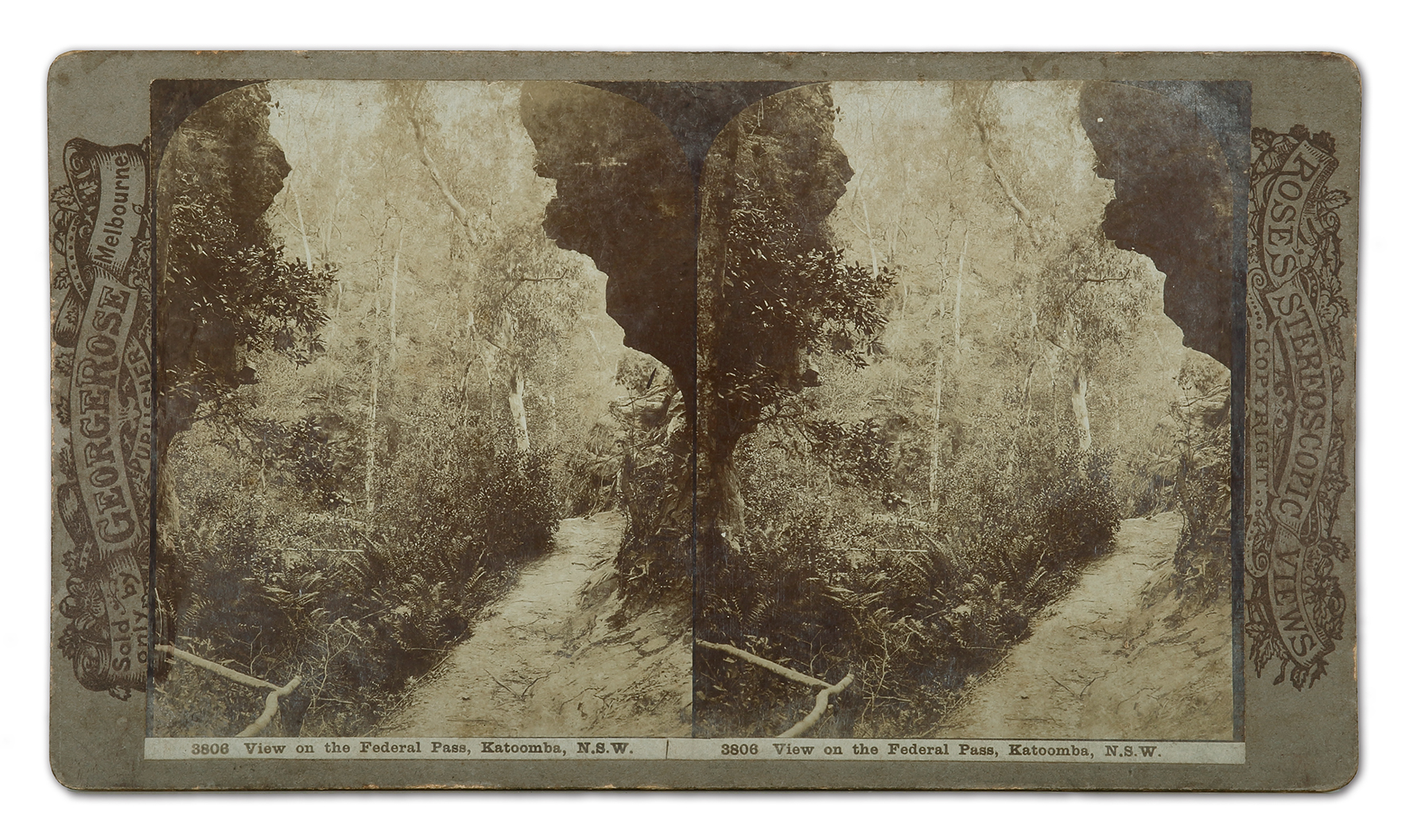 3806 View on the Federal Pass, Katoomba, N.S.W. - Antique Photograph from 1900