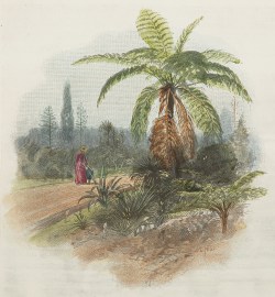 A Walk In the Gardens.