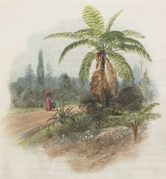 A Walk In the Gardens. Sydney