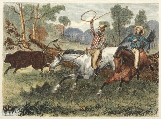 Overlanders Rounding up a Straggler. Australiana (General)