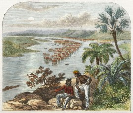 The Town of Brunei, in Thunder and Lightning Bay.