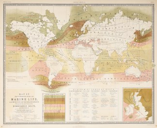 Map of the distribution of marine life, … WORLD