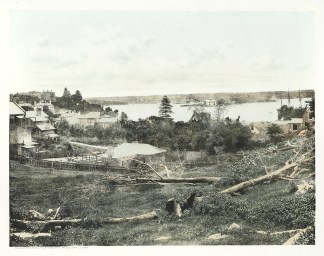 Elizabeth Bay (looking West). Sydney. - Antique View from 1890