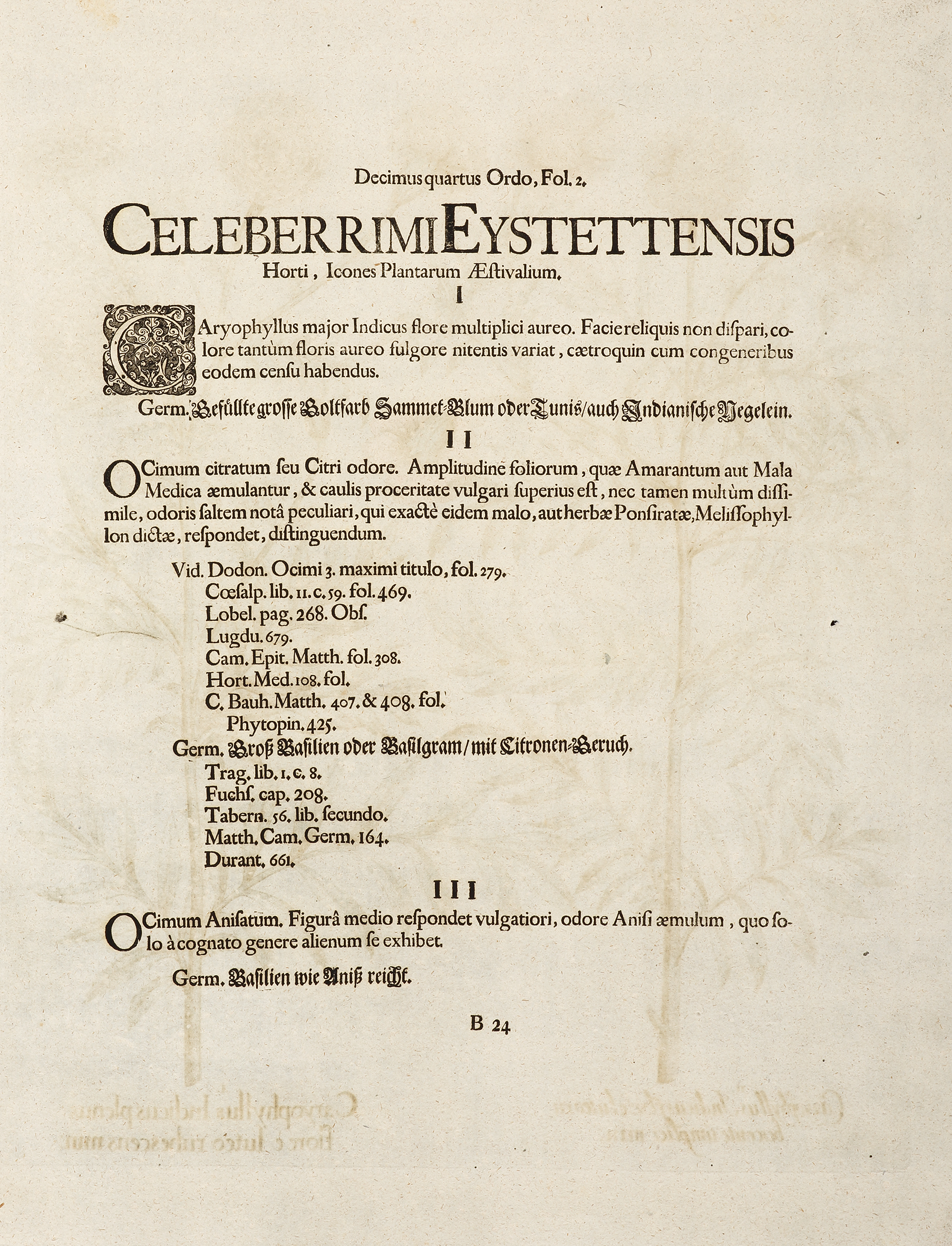 Caryophyllus Indicus plenus flore e luteo rubescens min. - Antique Print from 1713