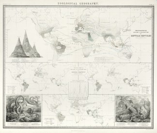 Zoological geography. Geographical divis… WORLD