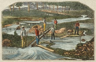 Sluicing for the Tin Ore, Britannia Tin … Australiana (General)