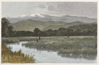 The Upper Murray and Mount Dargal. Regional