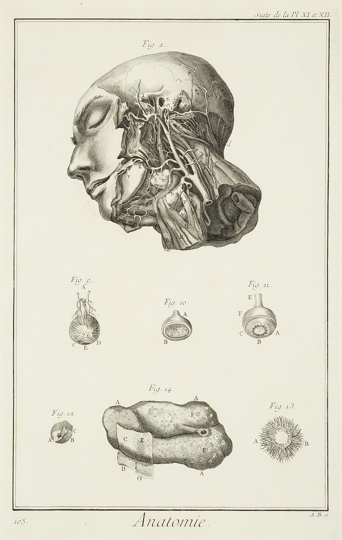 Anatomie. [Suite de artes de la face, d'apres Haller.] - Antique Print from 1764