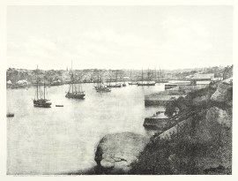 Woolloomooloo Bay, (from Domain) Sydney.