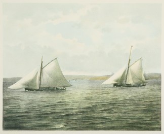 Yachting, Sydney Harbour. - Antique Print from 1890